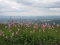 bild095