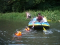 bild51