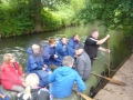 bild42