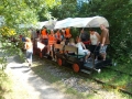 bild140