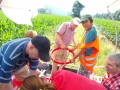 bild17