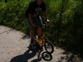 bild194