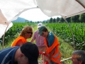 bild20