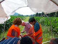 bild21