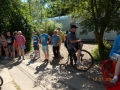 bild65