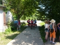 bild81