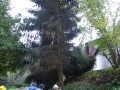 bild03