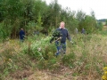 bild25
