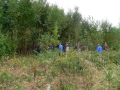 bild26