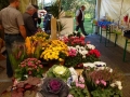 bild22