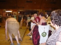 bild15