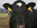 bild05