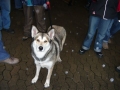 bild02