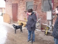 bild09
