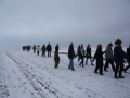 bild19