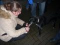 bild24