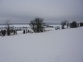 bild05