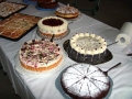bild11