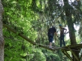bild013