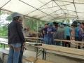 bild017