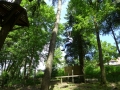 bild069