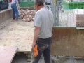 bild12
