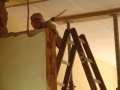 bild42