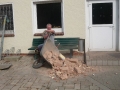 bild00